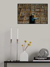 Salted Dried Fish Poster och Canvastavla