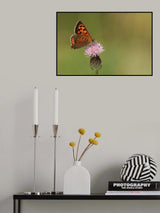 Small Copper Poster och Canvastavla