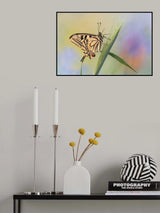 On the ear Poster och Canvastavla