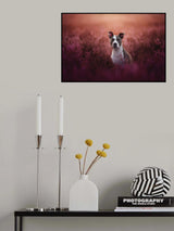 Ears Up Poster och Canvastavla
