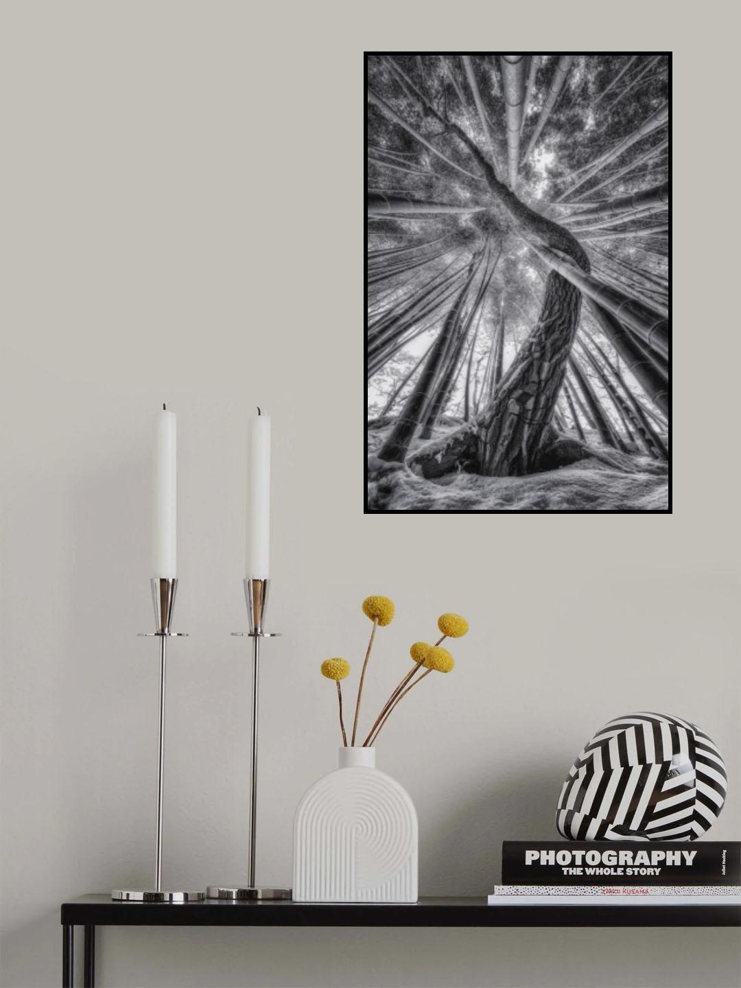 Bamboo and Pinetree Poster och Canvastavla