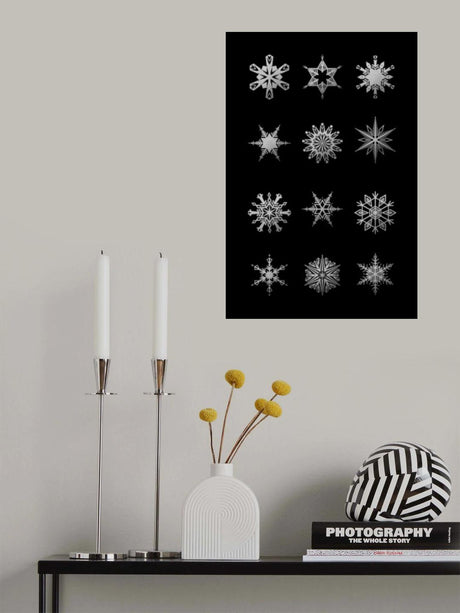 Twelve geometric snowflakes in black Poster och Canvastavla
