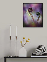 Flower Mantis in Lollipop Land Poster och Canvastavla