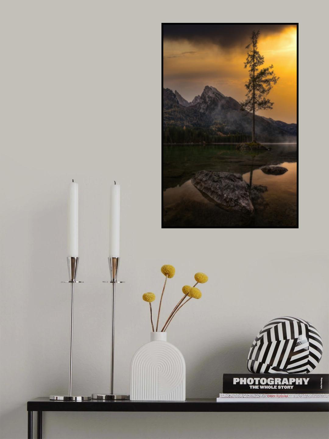 The tree Poster och Canvastavla