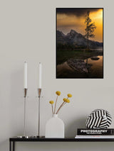 The tree Poster och Canvastavla