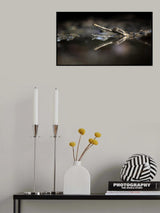 Exotic Reflection of Sinyulong Poster och Canvastavla
