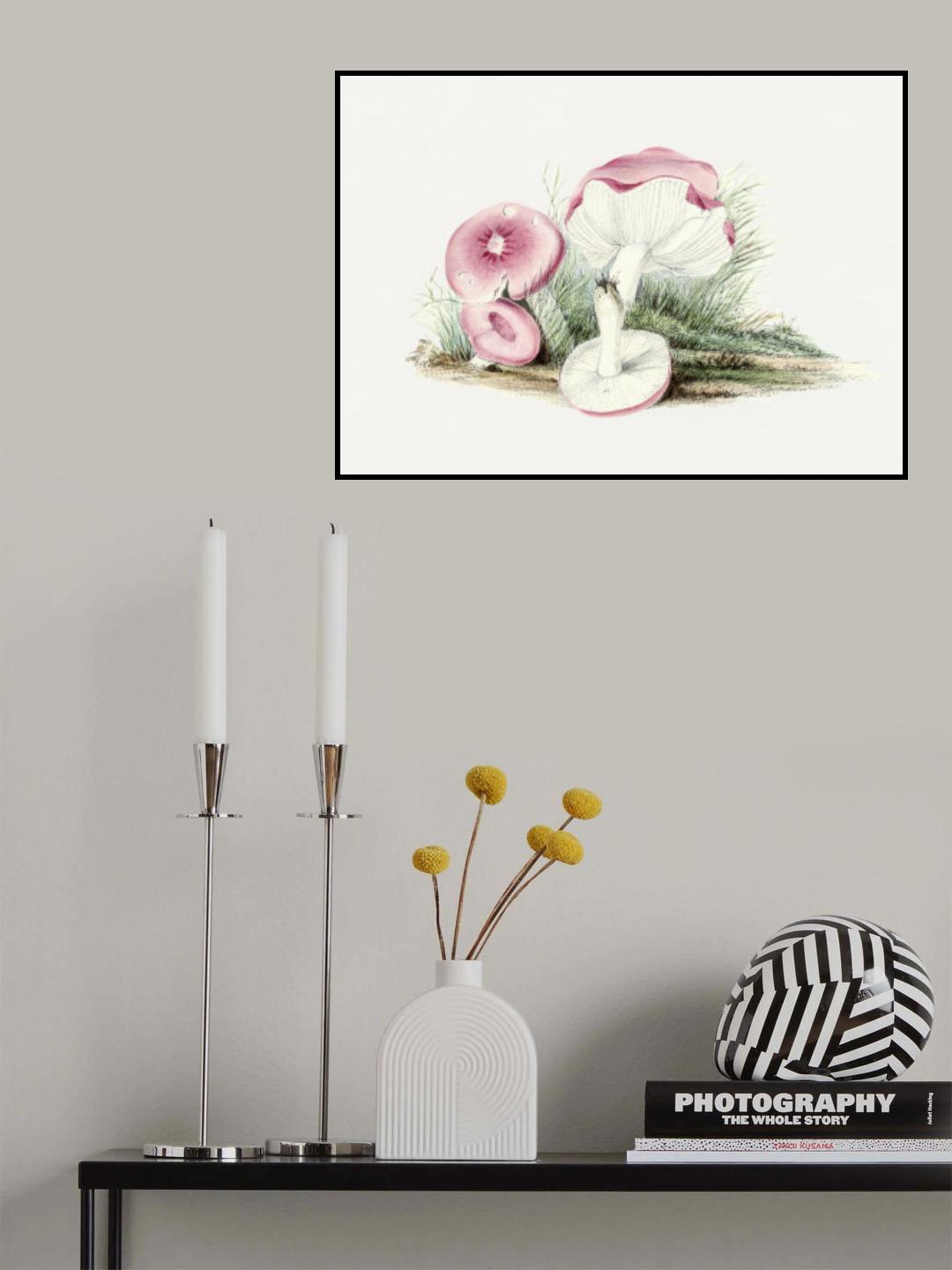 Vintage Russula Emetica Mushroom Poster och Canvastavla