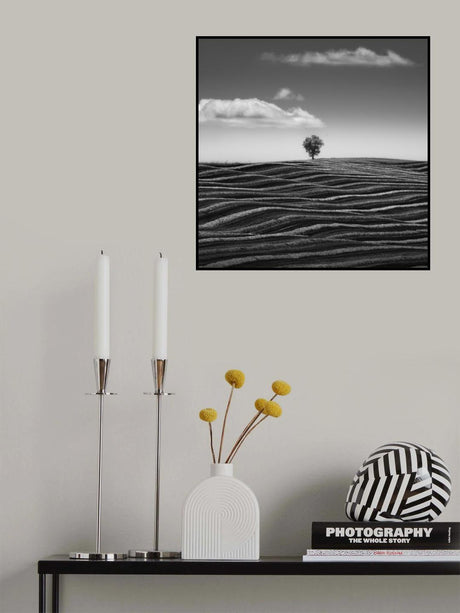 Empire of Loneliness Poster och Canvastavla