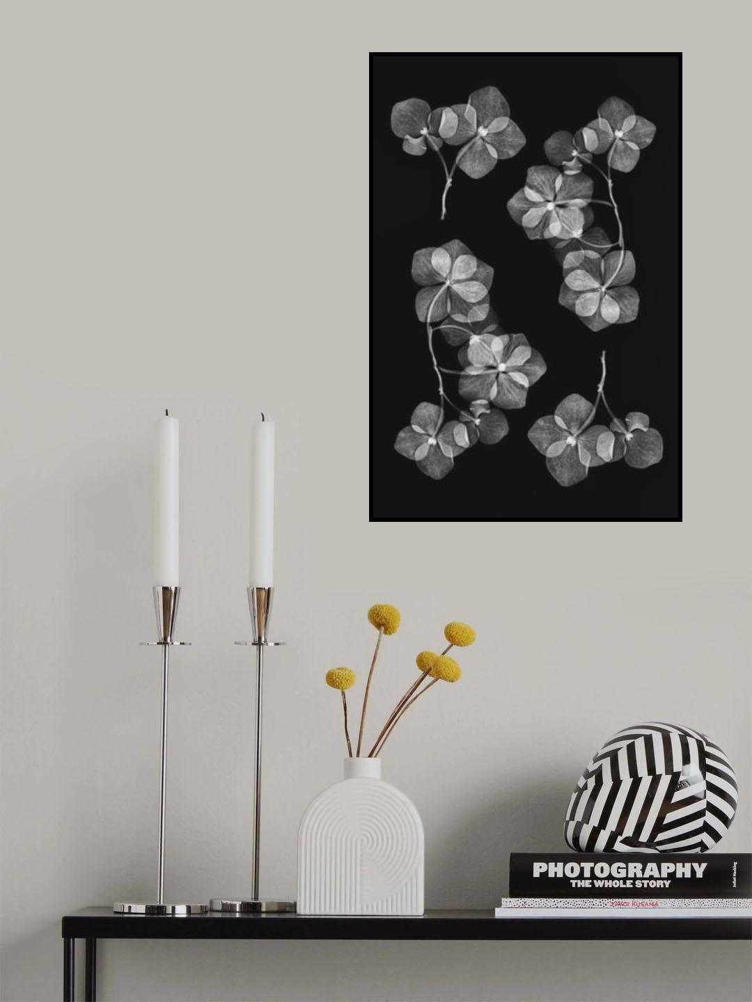 Botanical #46 Poster och Canvastavla
