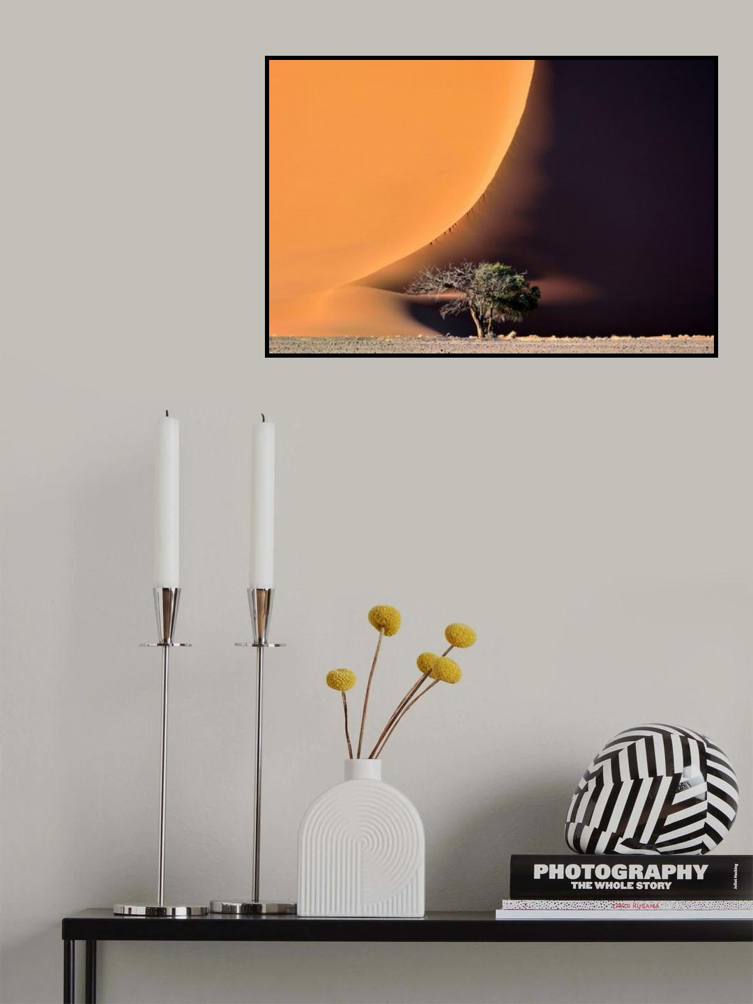 The dune and the tree Poster och Canvastavla