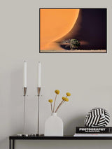 The dune and the tree Poster och Canvastavla