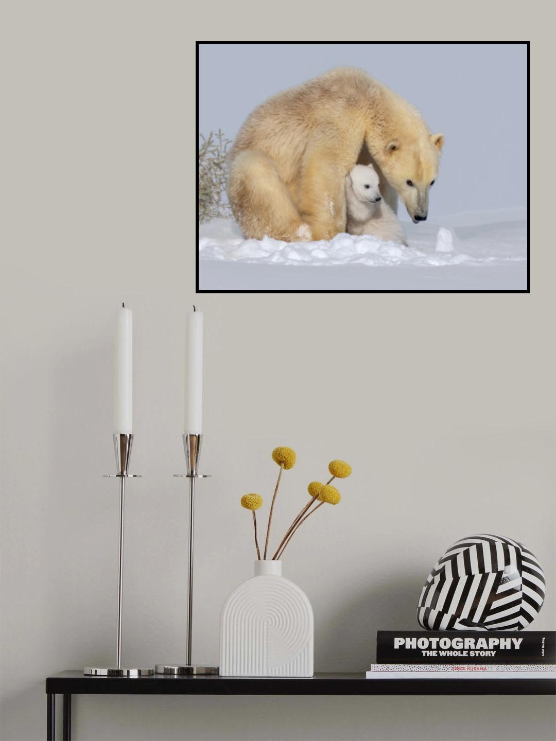 What? Poster och Canvastavla