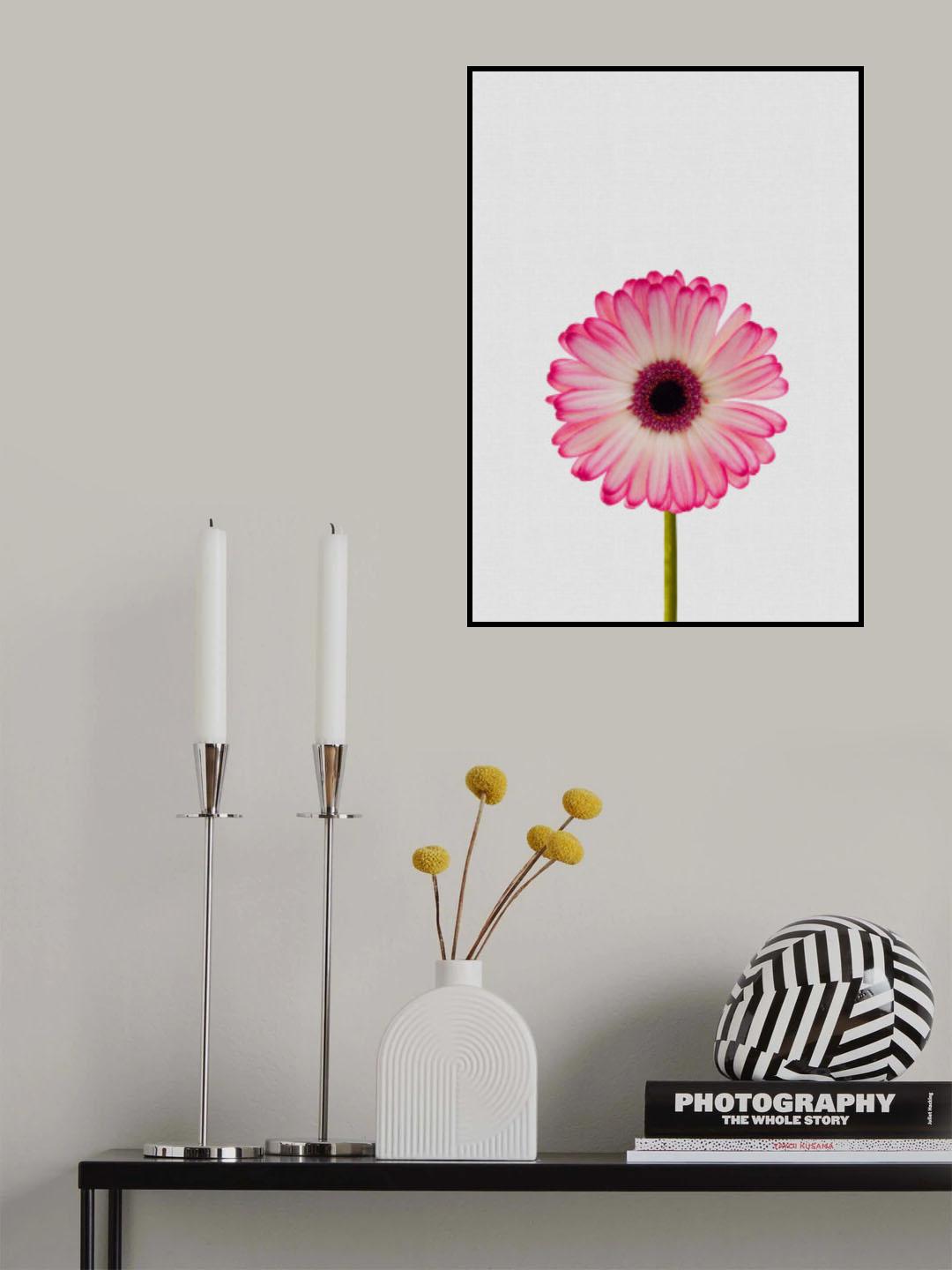 Daisy Still Life Poster och Canvastavla