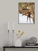 Nature's Offerings Poster och Canvastavla