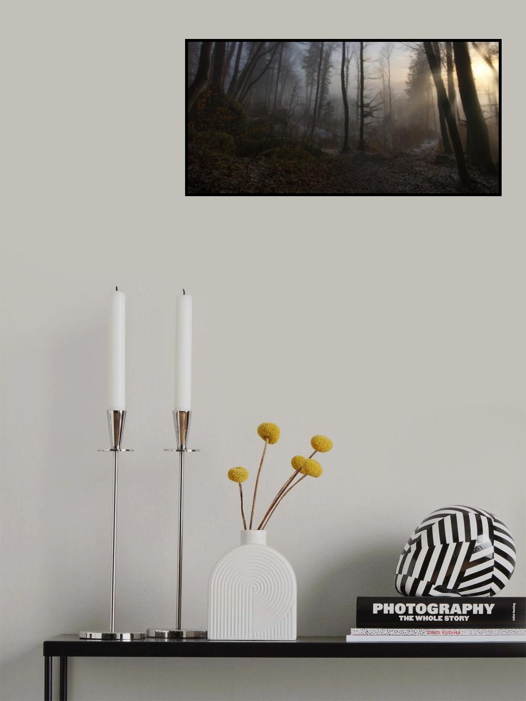 Winter's slight Return Poster och Canvastavla