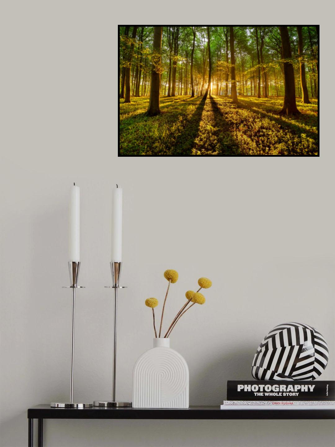 Forrest light Poster och Canvastavla