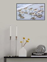 Escape Poster och Canvastavla