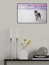 Poster och Canvastavla