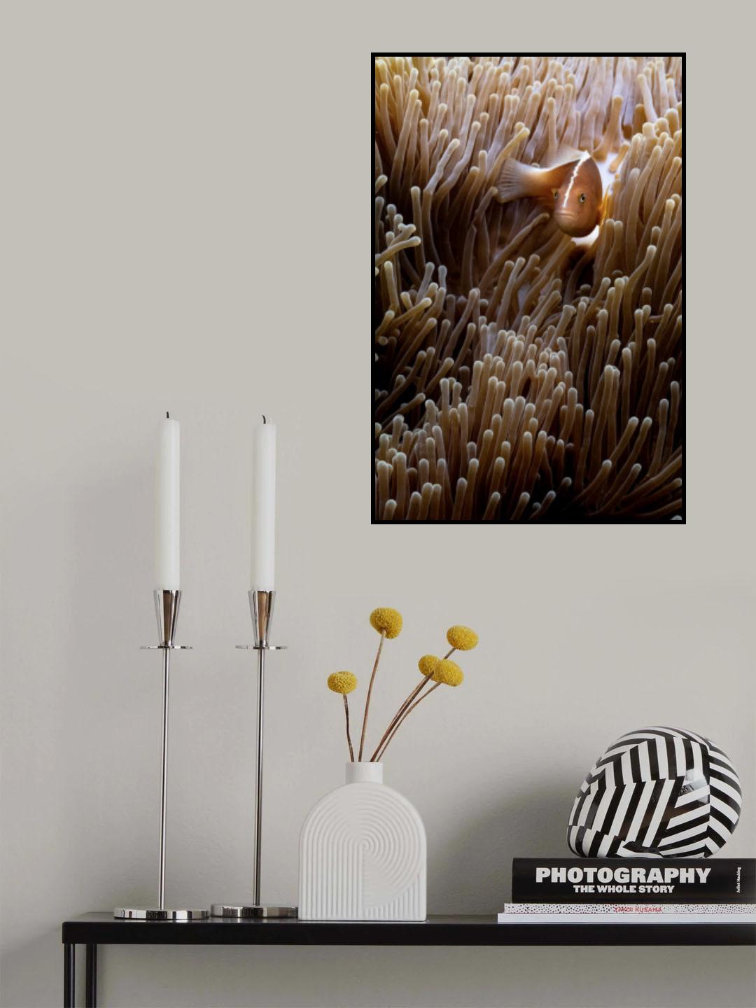 Symbiose Poster och Canvastavla