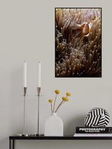 Symbiose Poster och Canvastavla