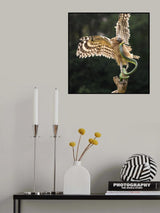 Poster och Canvastavla