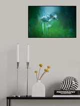 Woolly inky cap Poster och Canvastavla