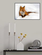 Enjoyment Poster och Canvastavla