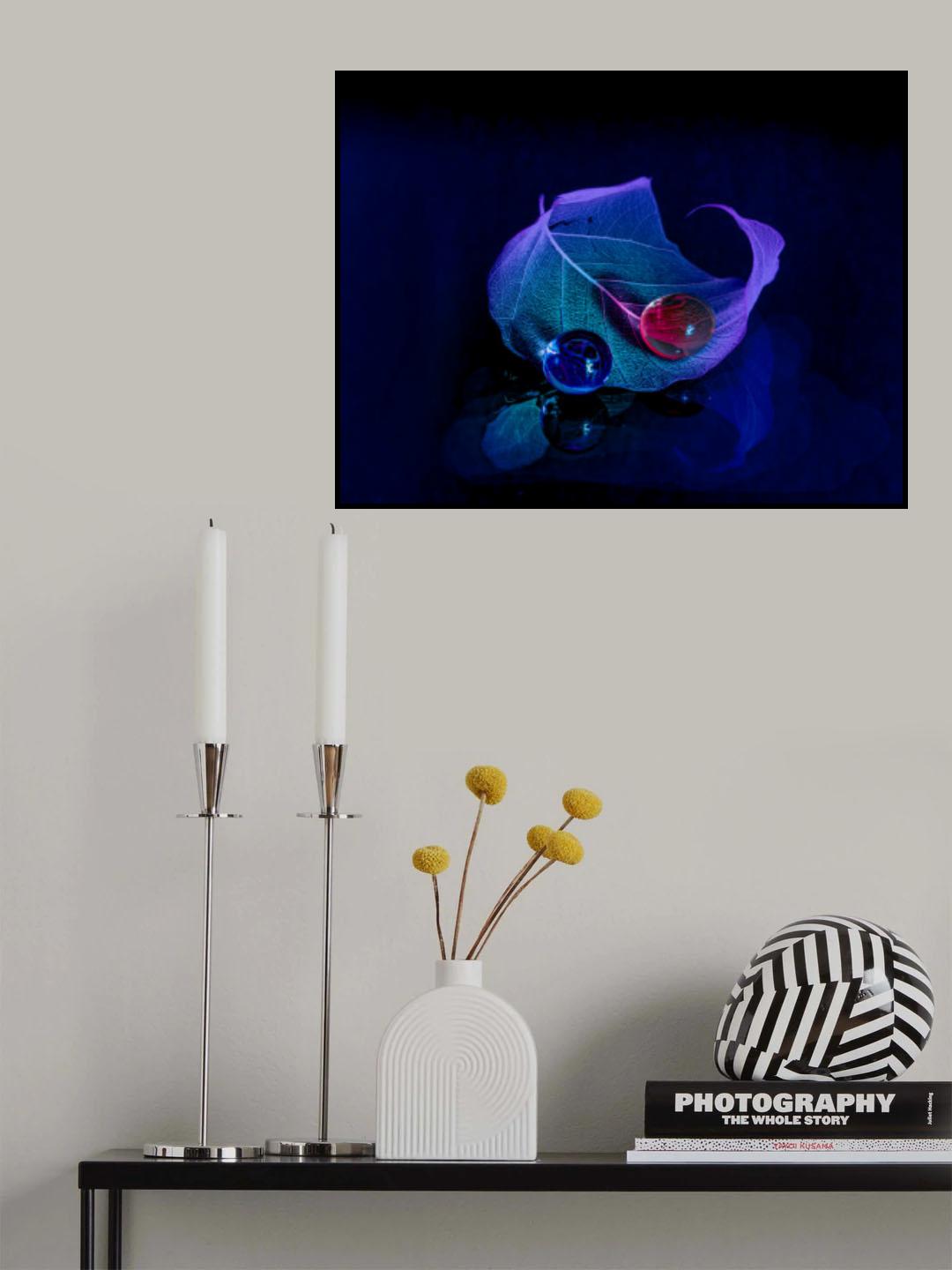 A leaf Poster och Canvastavla