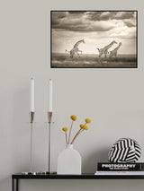 Jumping Giraffe Poster och Canvastavla