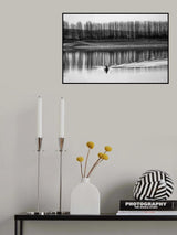Follow the trees Poster och Canvastavla