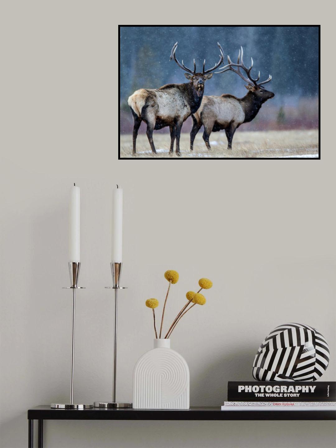 First snow Poster och Canvastavla