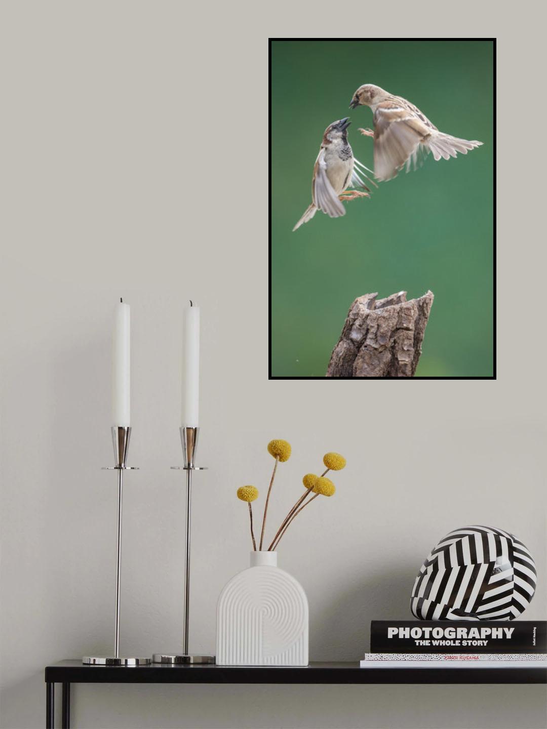Poster och Canvastavla