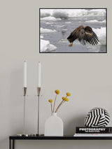 Going Home Poster och Canvastavla