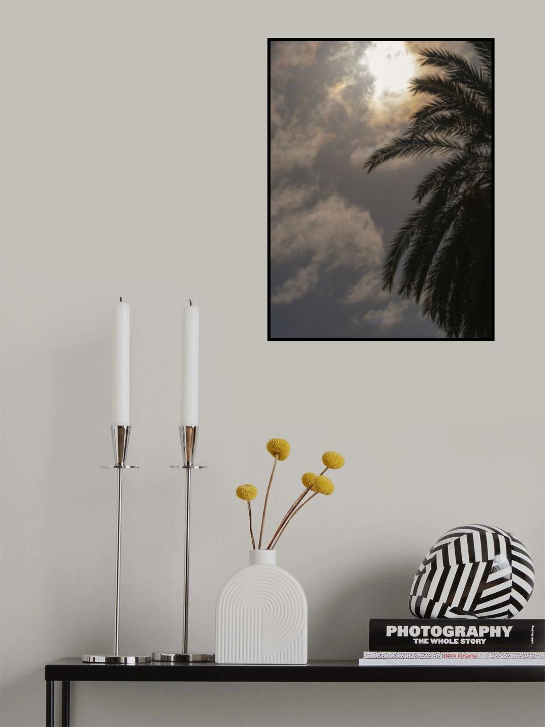 palm trees Poster och Canvastavla