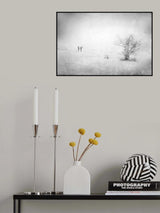 Snow in the park Poster och Canvastavla