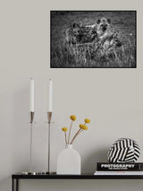 3 In 1 Poster och Canvastavla