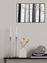 Spring trees Poster och Canvastavla