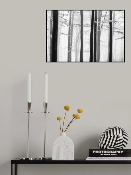 Spring trees Poster och Canvastavla