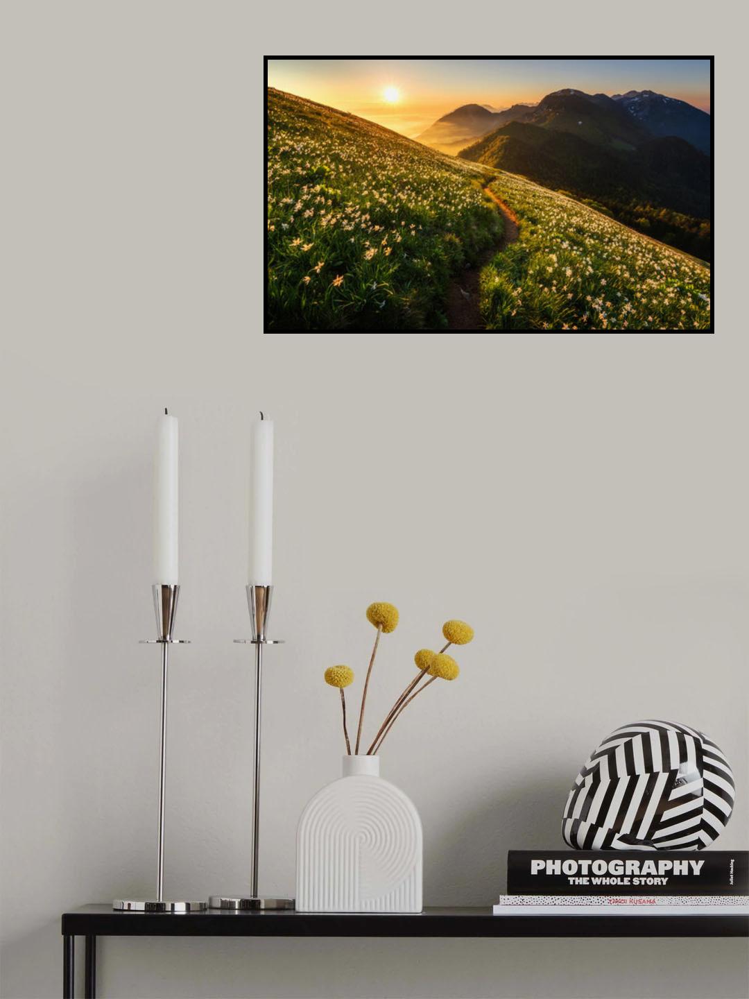 Among the daffodils Poster och Canvastavla