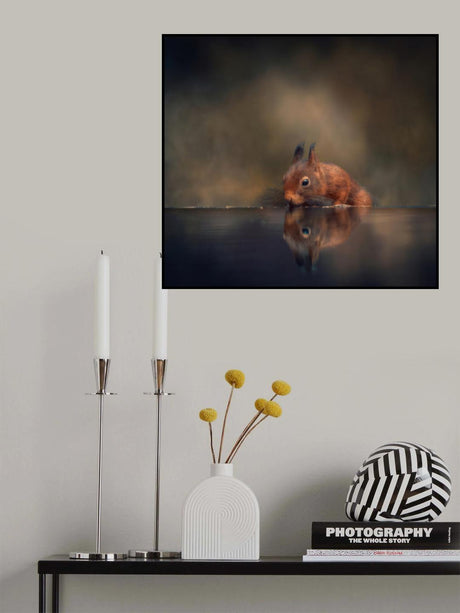 Thirsty squirrel Poster och Canvastavla