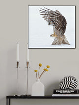 Pouncing !!!! Poster och Canvastavla