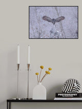 Landing Poster och Canvastavla