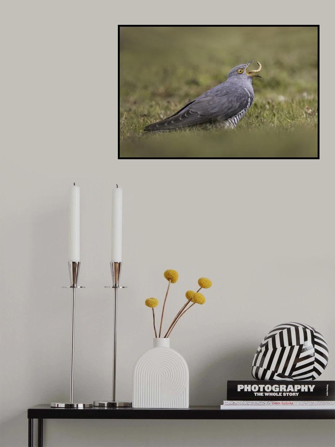 Cuckoo having lunch Poster och Canvastavla