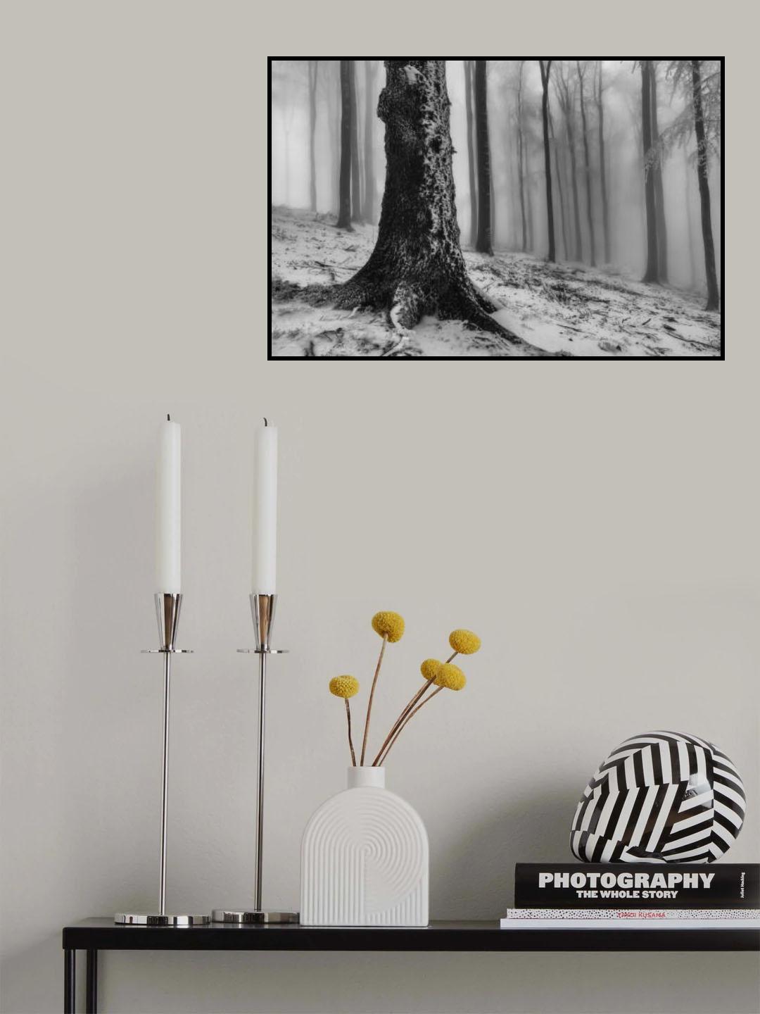Forest Poster och Canvastavla