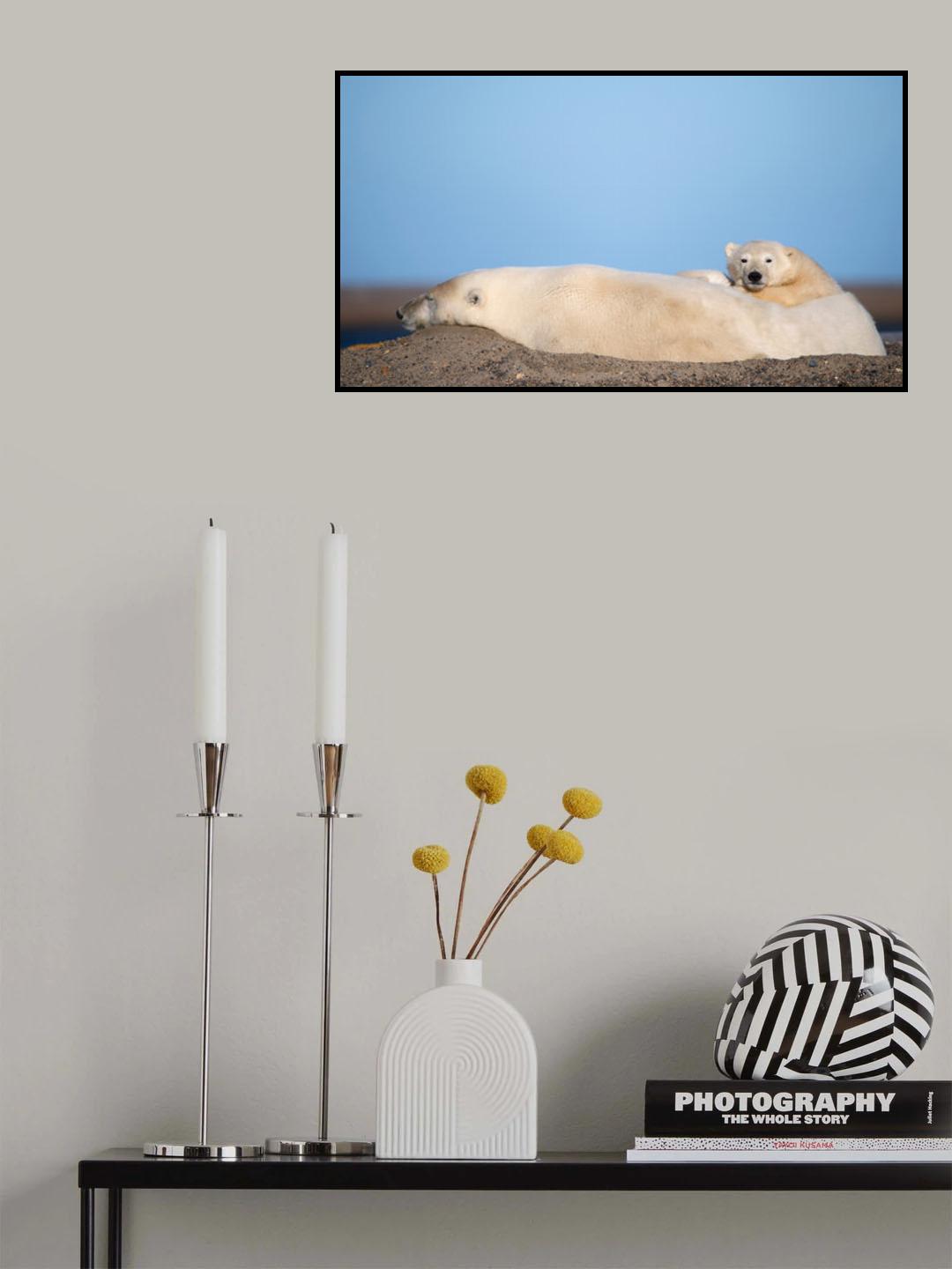 Big warm pillow Poster och Canvastavla