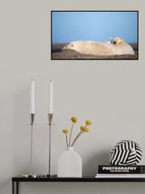 Big warm pillow Poster och Canvastavla