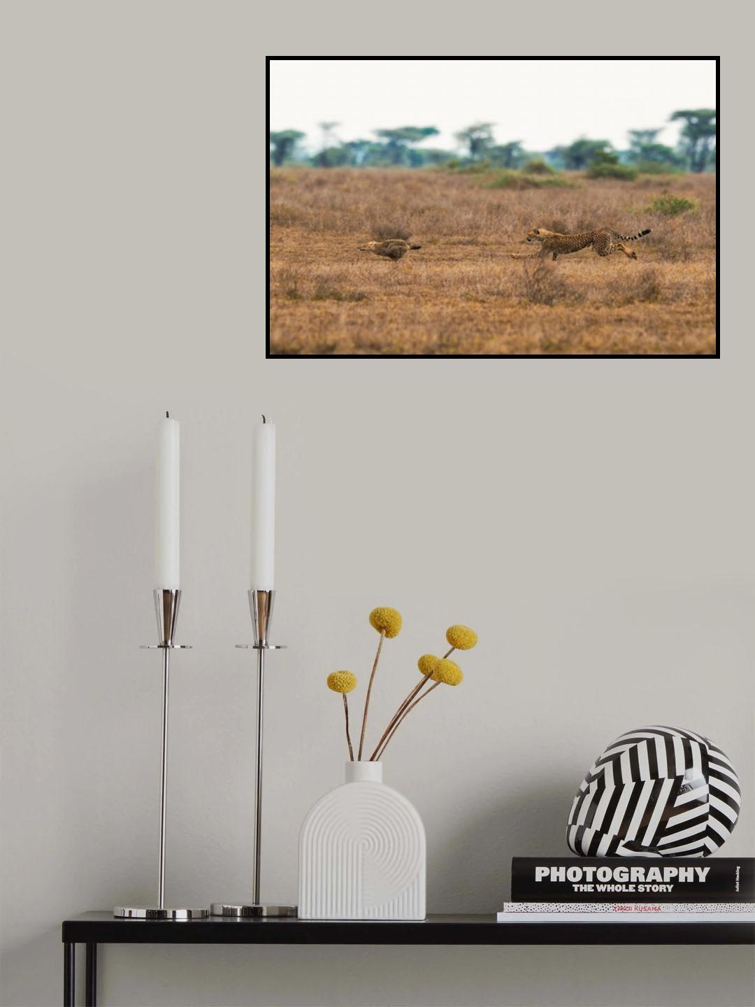 The Unusual Chase Poster och Canvastavla