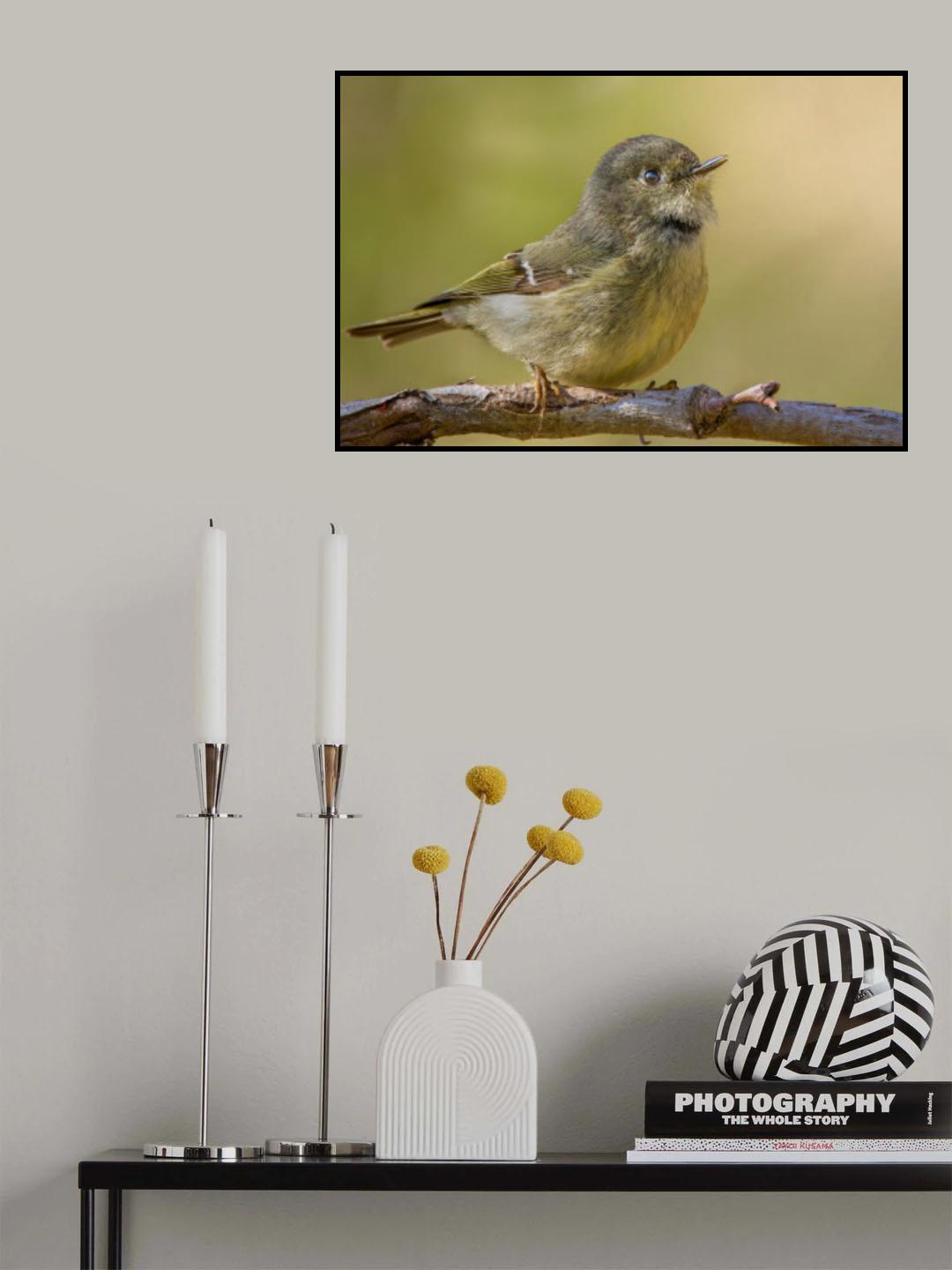 Spring is here Poster och Canvastavla