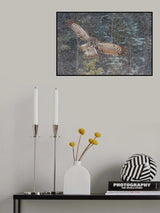 Great Grey Owl in Snowfall Poster och Canvastavla
