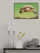 Hanging around Poster och Canvastavla